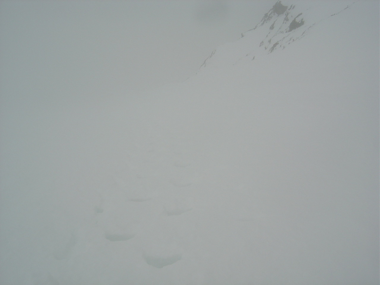 Quel bonheur... des traces à suivre dans le blanc!
