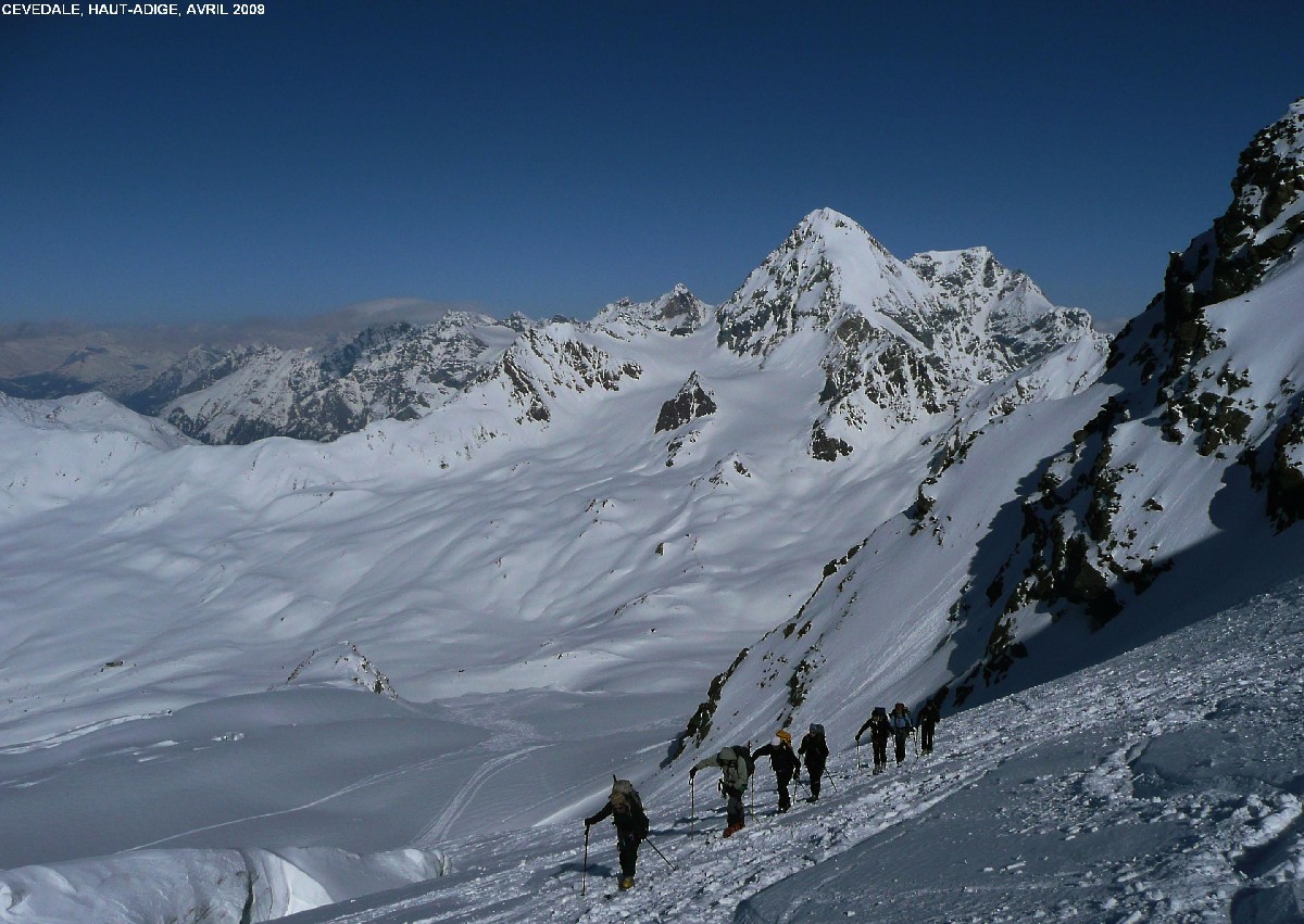 Montée au Cevedale par la Vedretta del Cedec