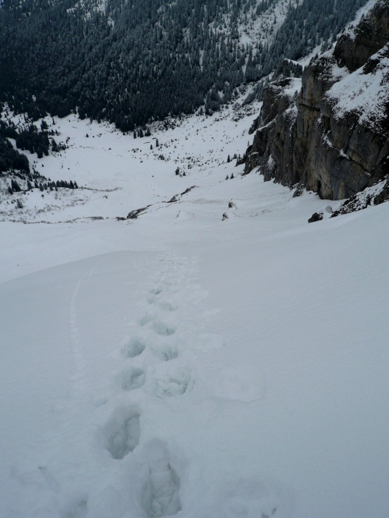 En arrivant au sommet