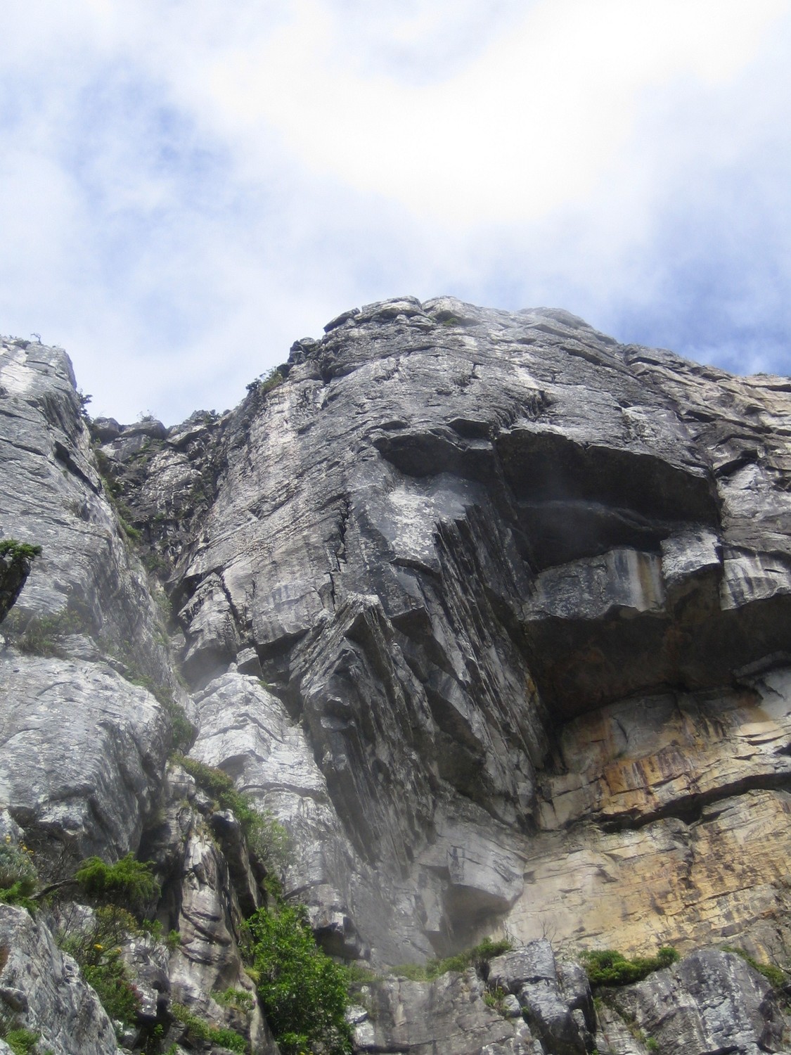 Jacob's Ladder