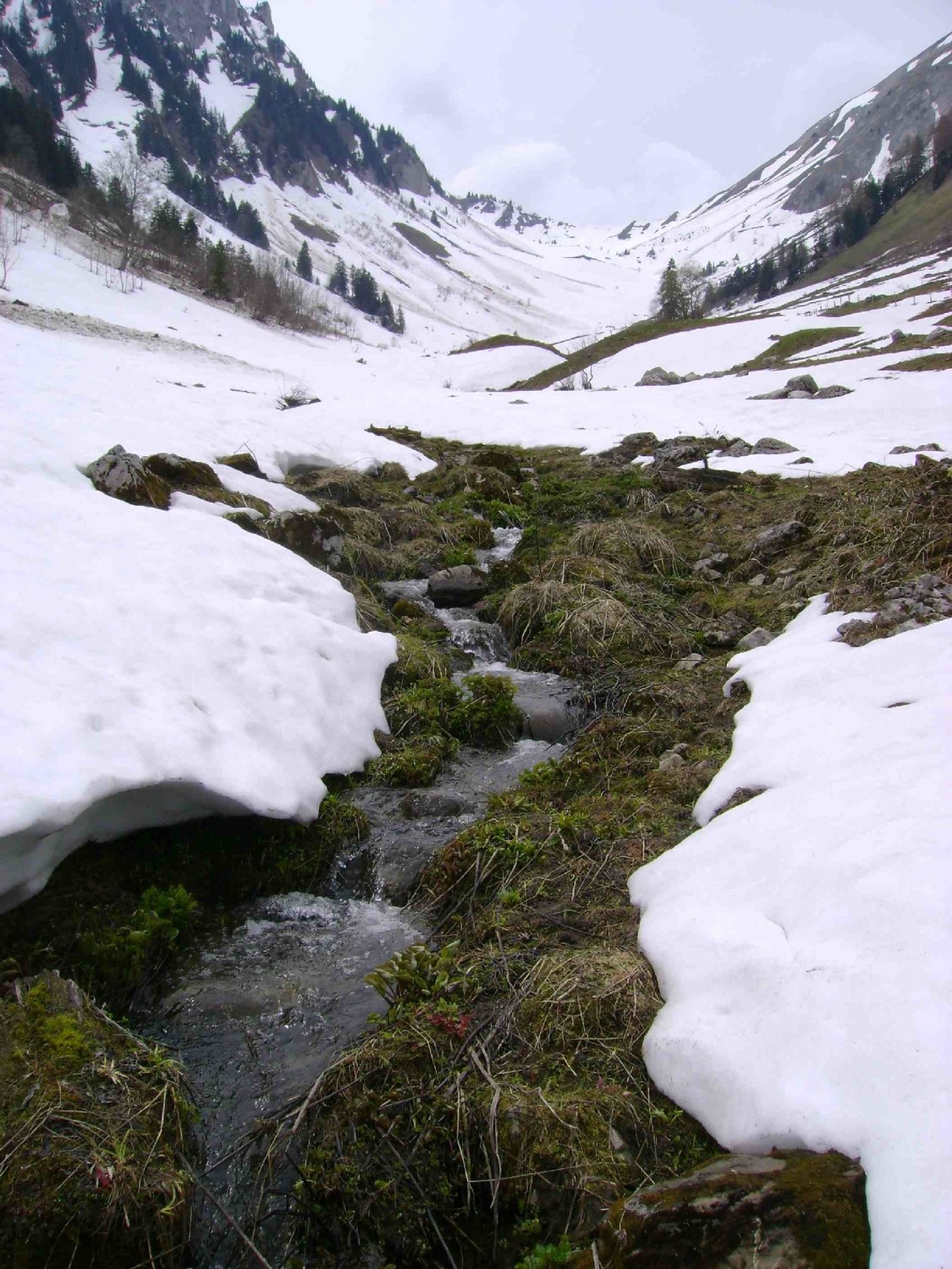 Un autre image printanière du Col de Verne