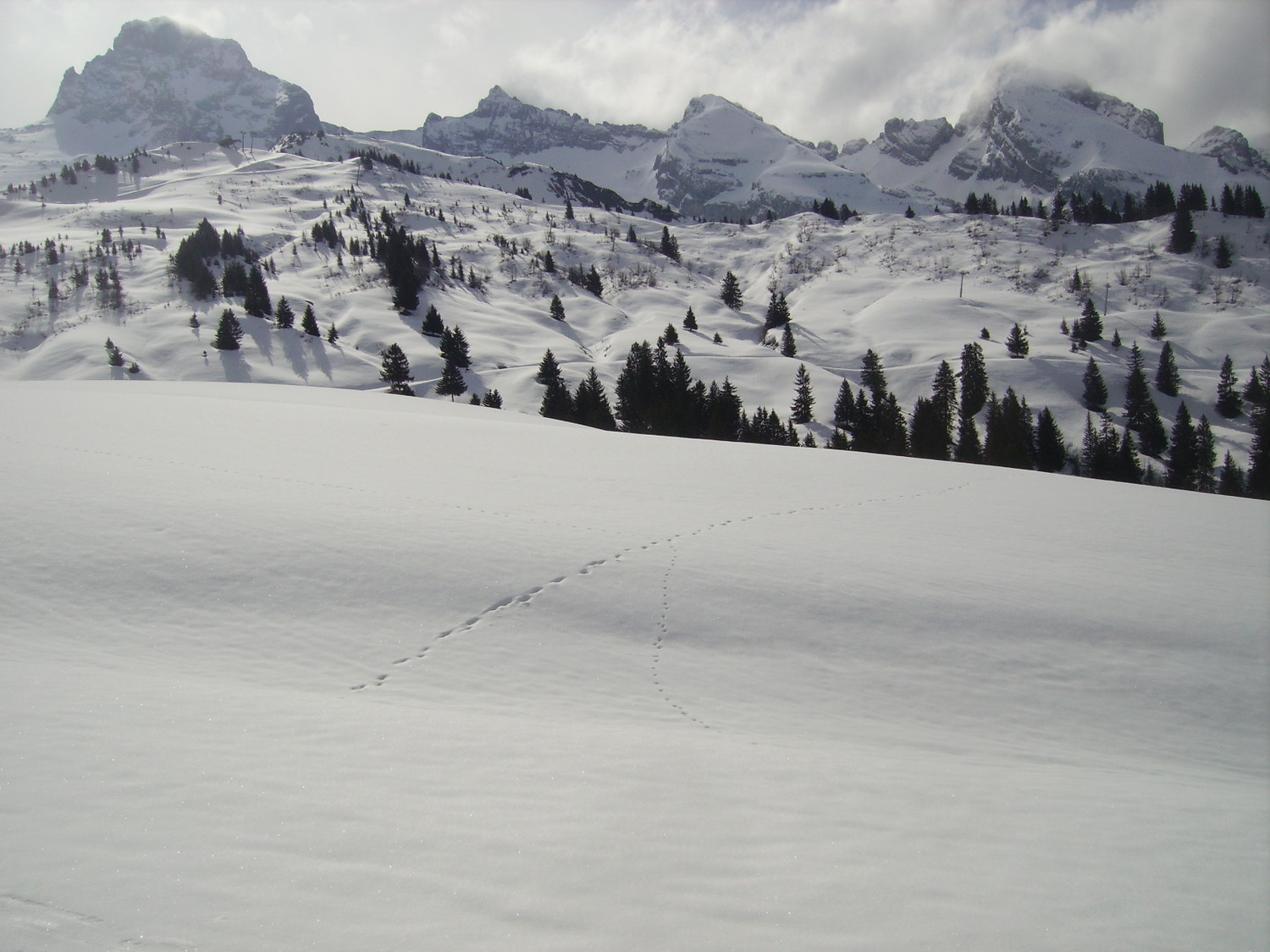 Tete des Annes devant Pointe Percee