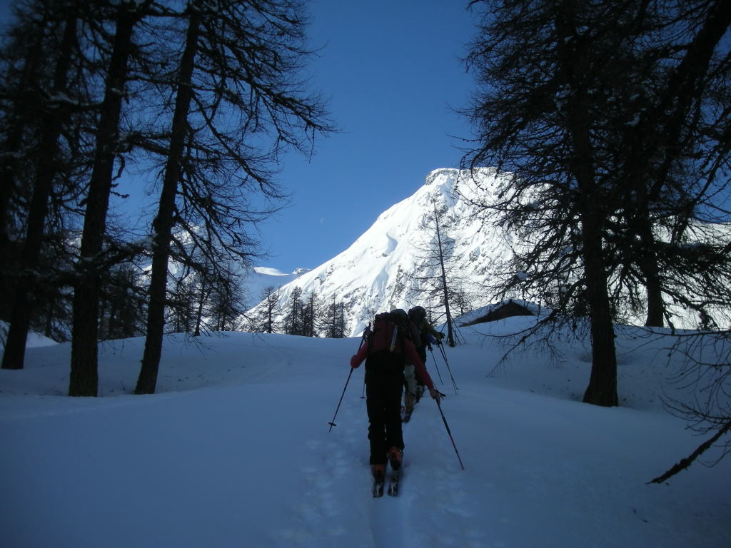 En montant au Gross Schinhorn