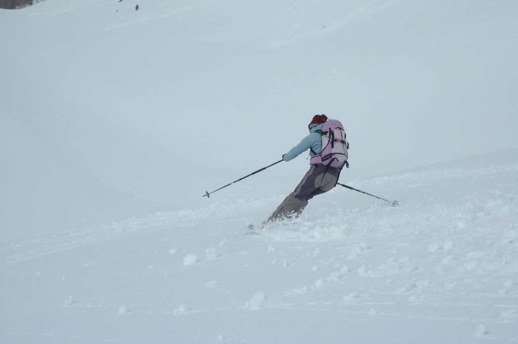 Un drôle de chamois dans la descente du Gandhorn