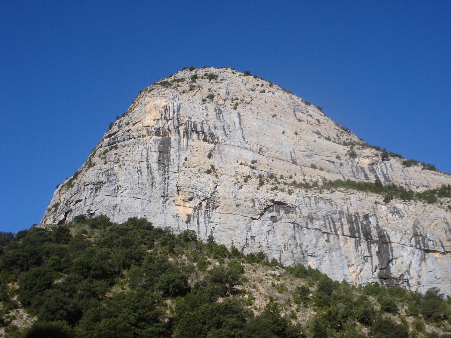 Roca dels Arcs, facette E ; au milieu, entre les 2 écailles, Necronomicon