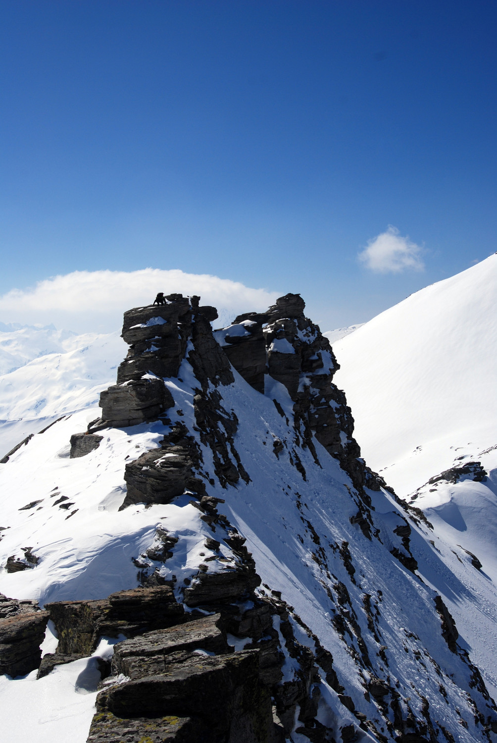 Il Pizzo di Sterla 2948 m.