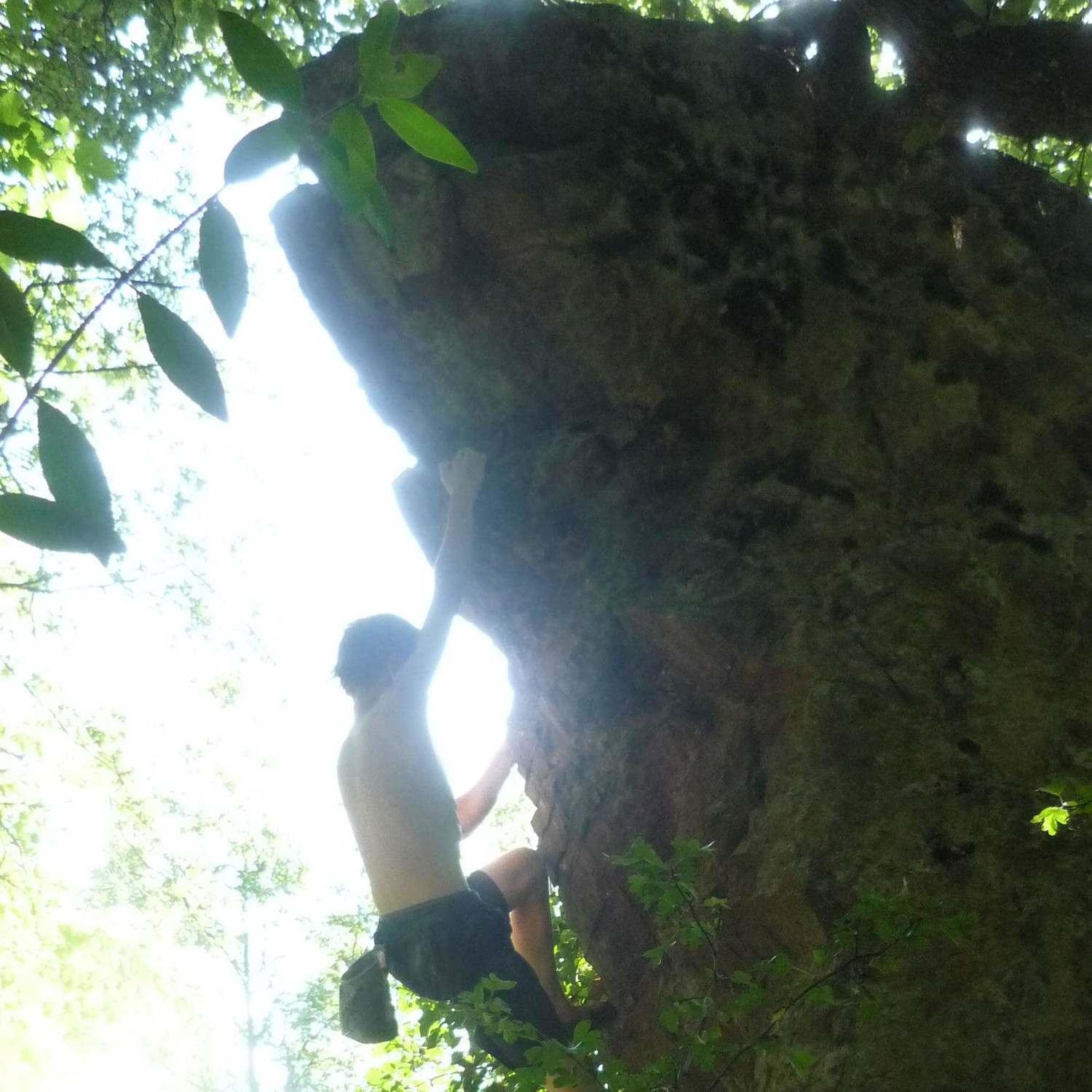 pierre à grosse