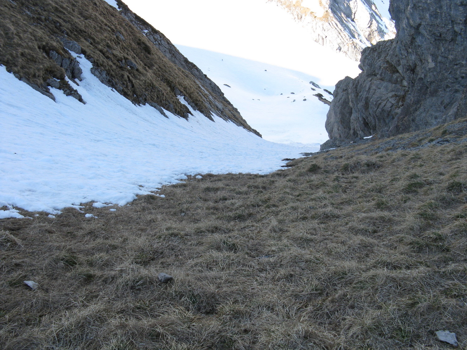 Montée au Tchadar. un peu d'herbe à la fin