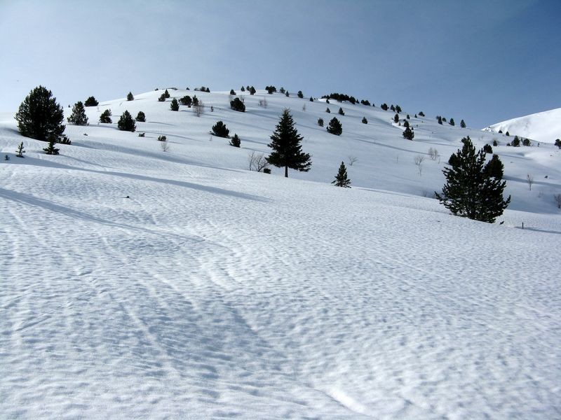 Vallon de montée