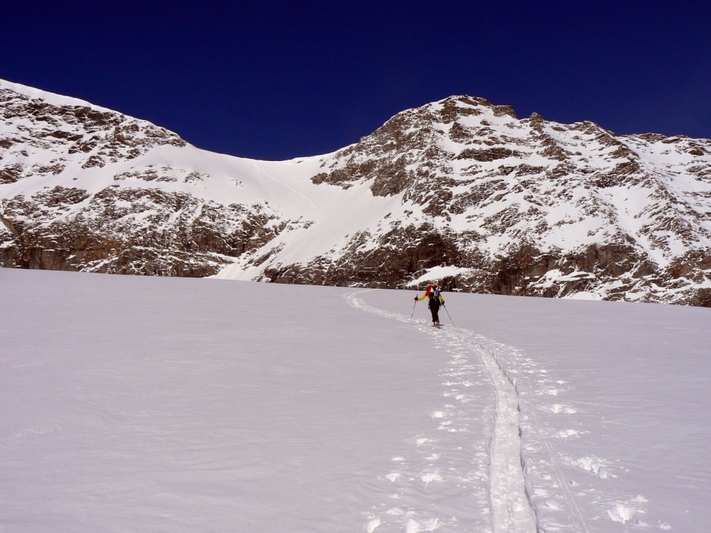 Plateau sommitale