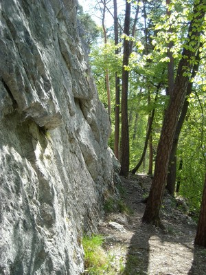 Arrivée au secteur Pirouette en longeant la falaise. Arrivée au secteur Pirouette en longeant la falaise.