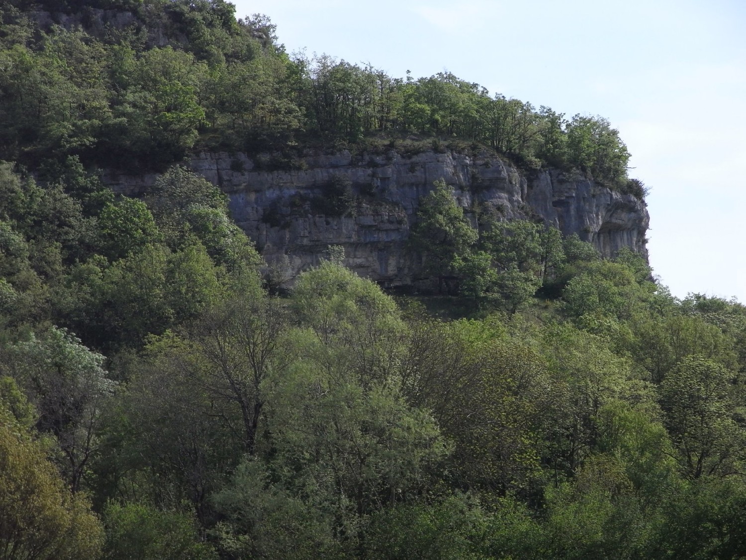 Contrevoz - La falaise