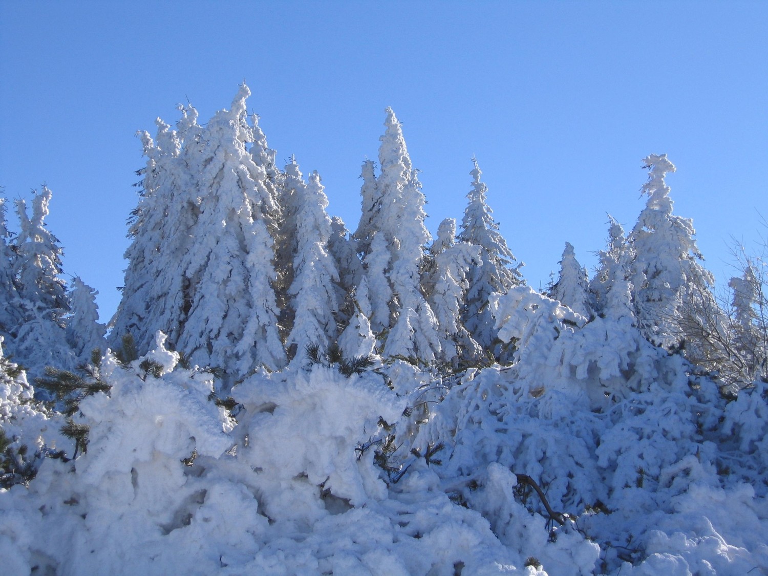 le pilat en hiver