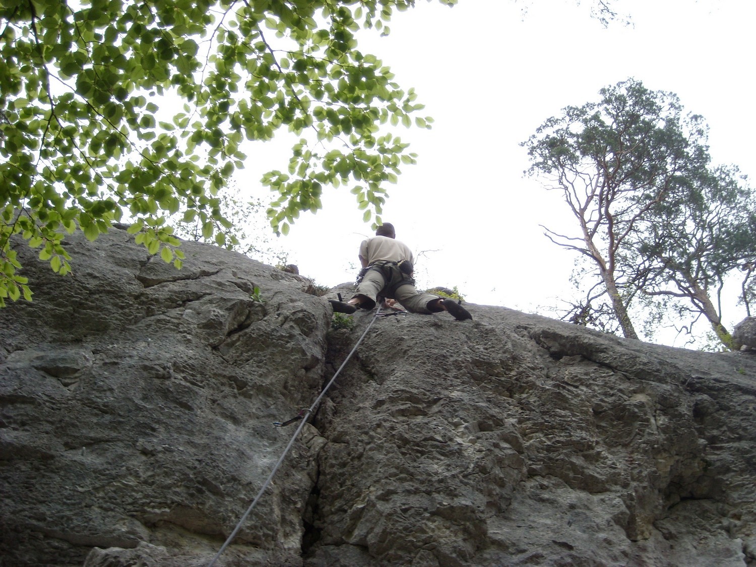 Flasto dans "Tu verras Montmartre" 5b