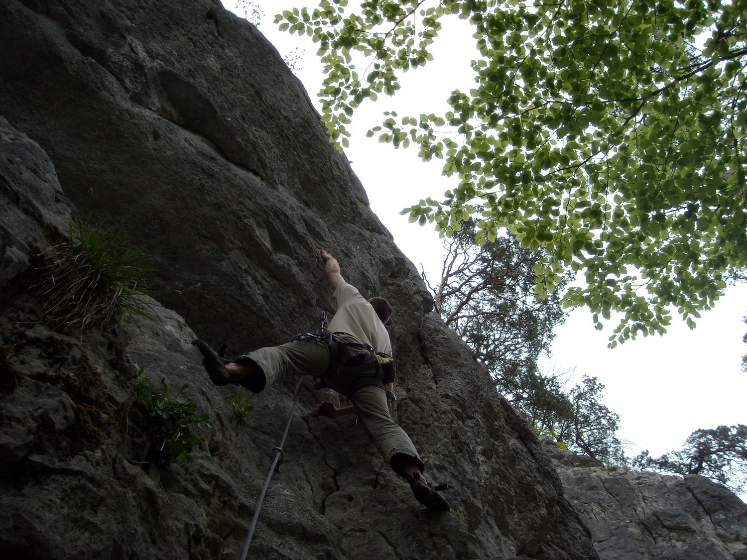 Flasto dans "Trois petits points"