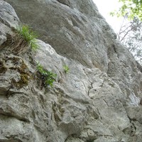 "Trois petits points" 5+