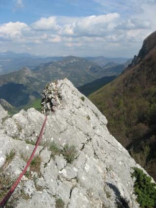 A partir de L3, quand l'arête s'aplatit