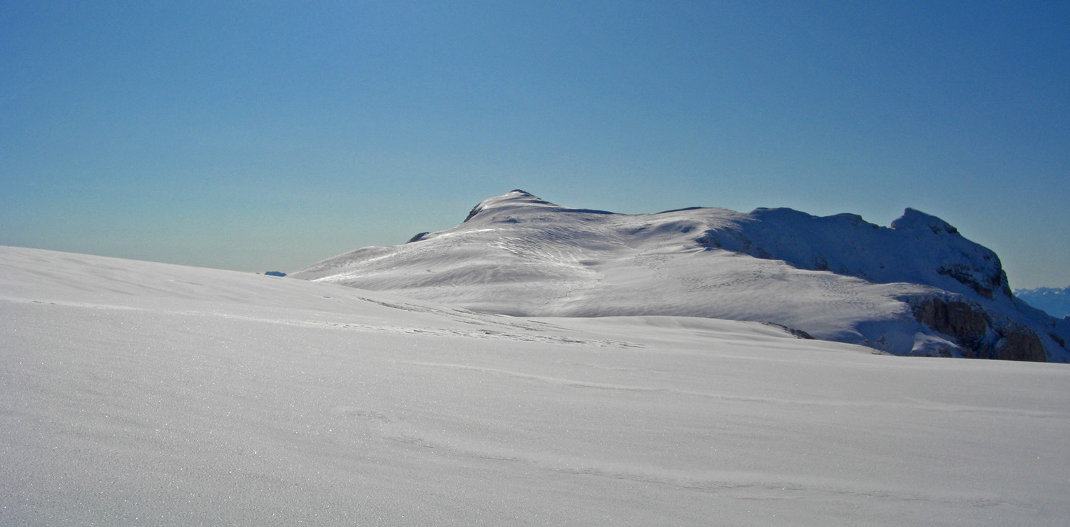 Le plateau bien blanc