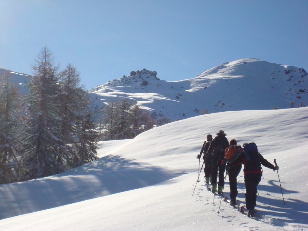 Sortie de forêt
