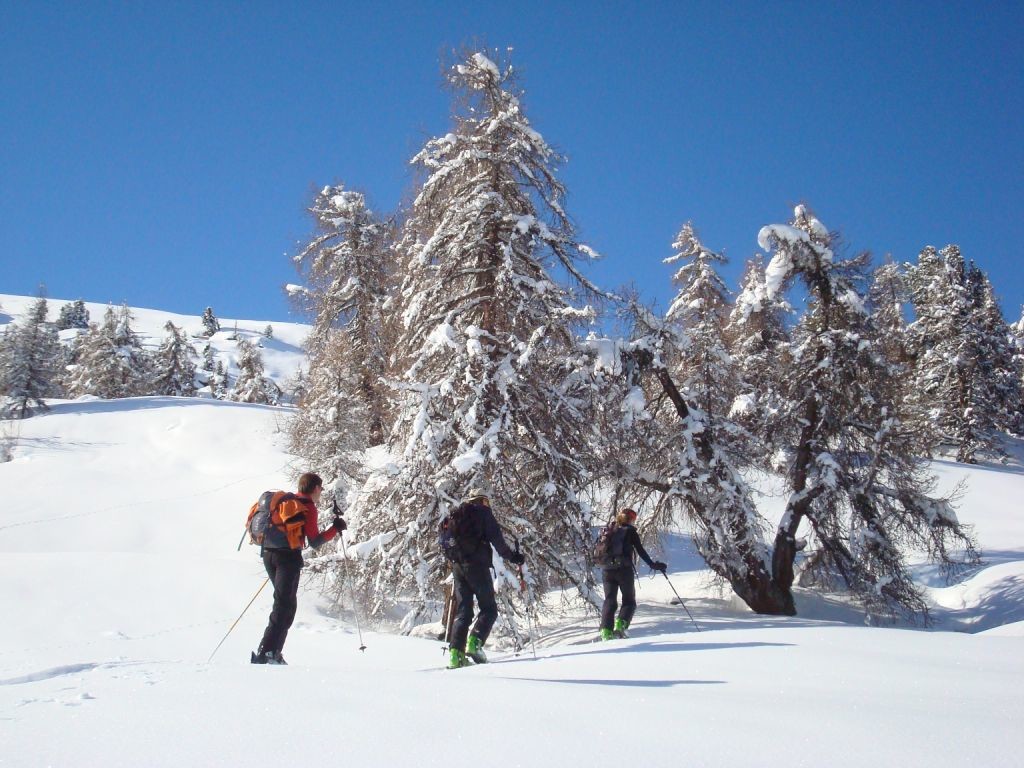 C'est l'hiver