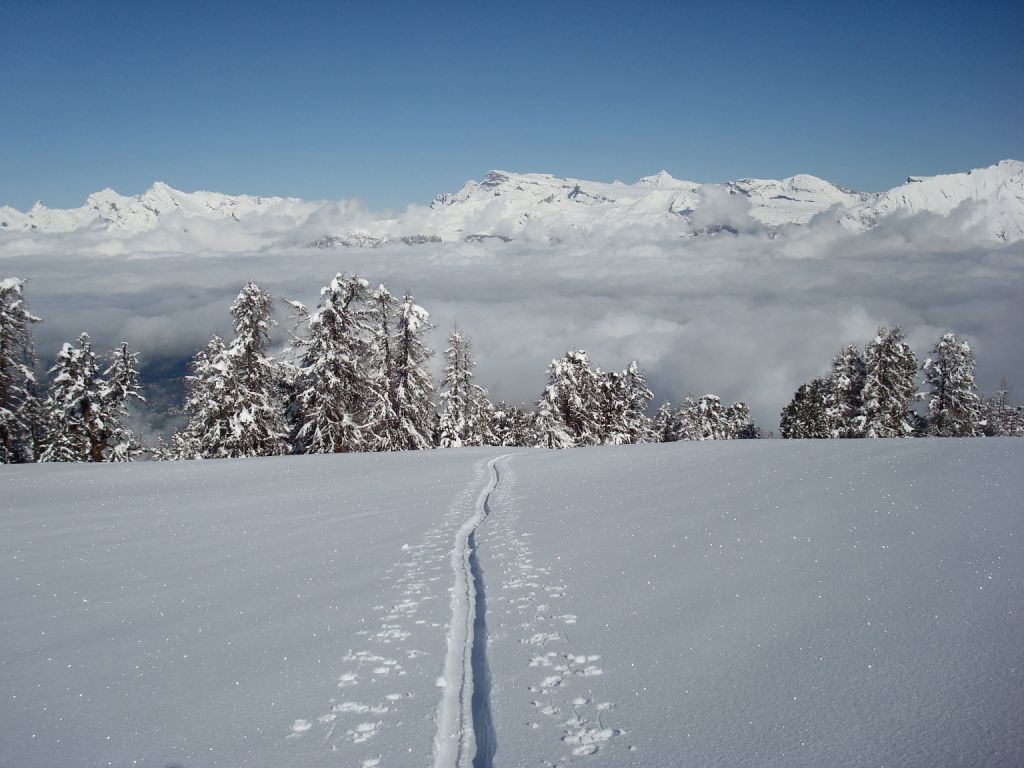 Traces de descente
