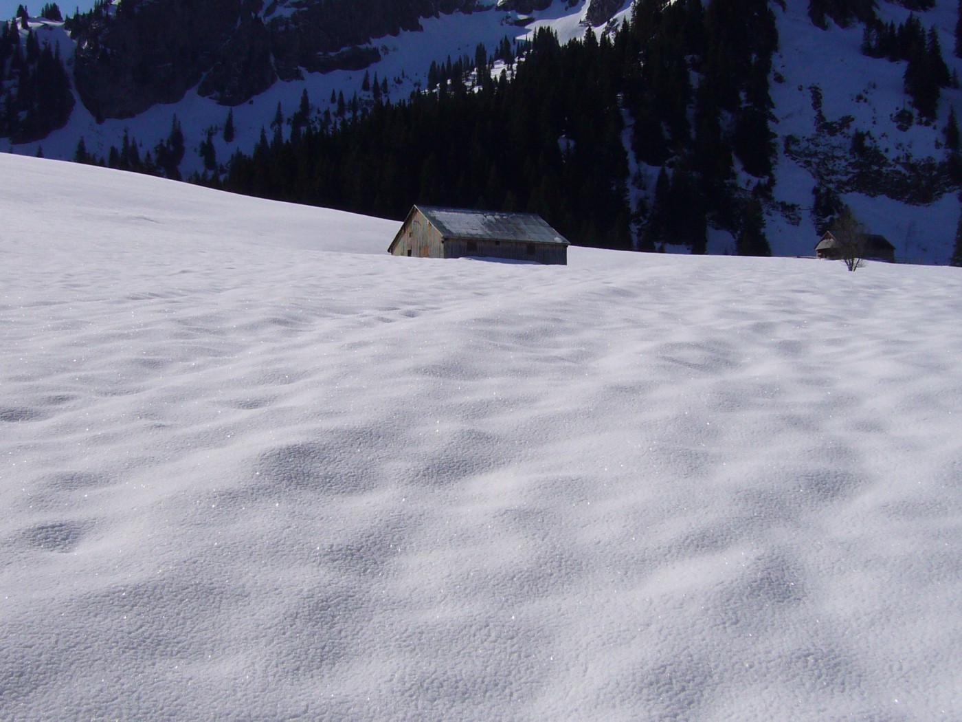 Chalets de Pététoz