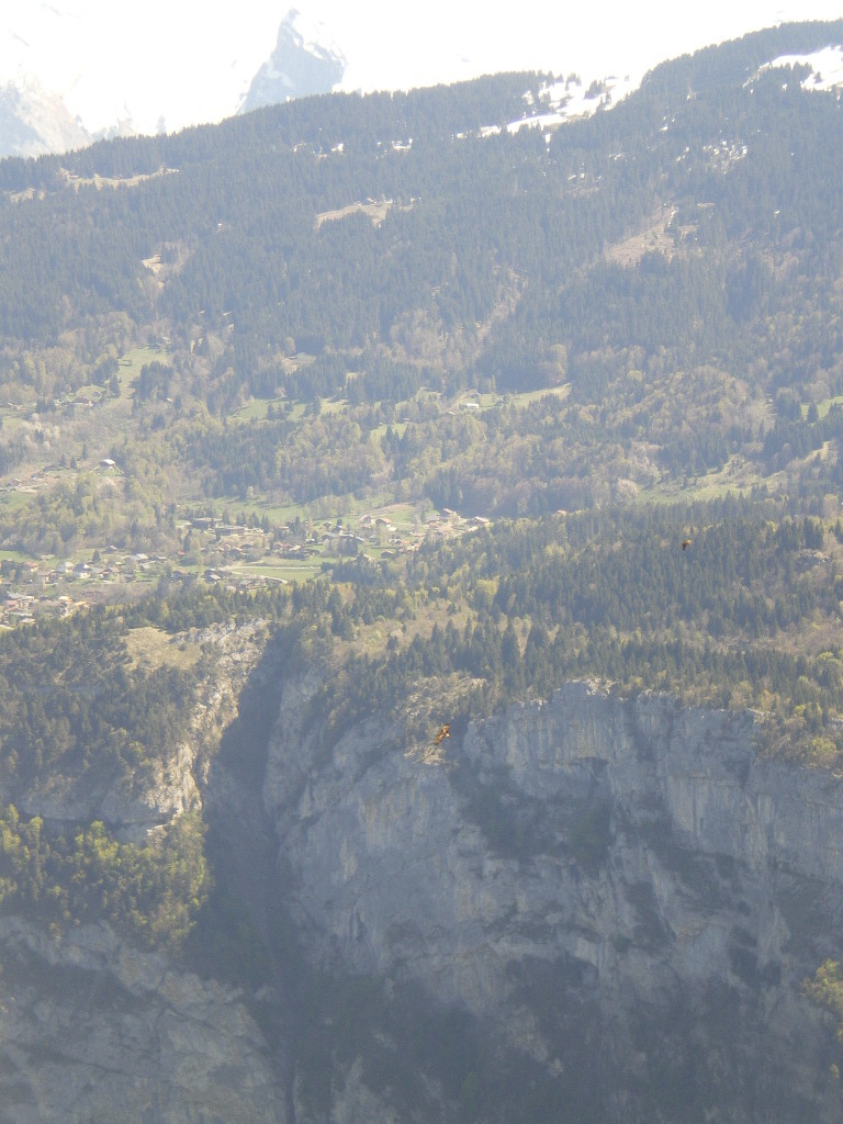 L'aigle royal