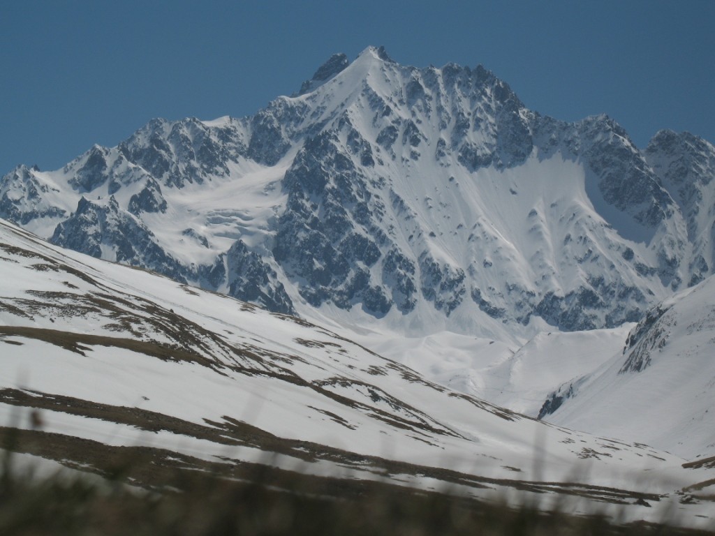 Les Agneaux