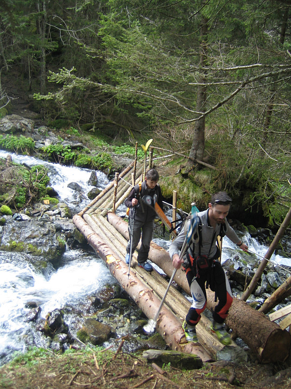 Parcours forestier