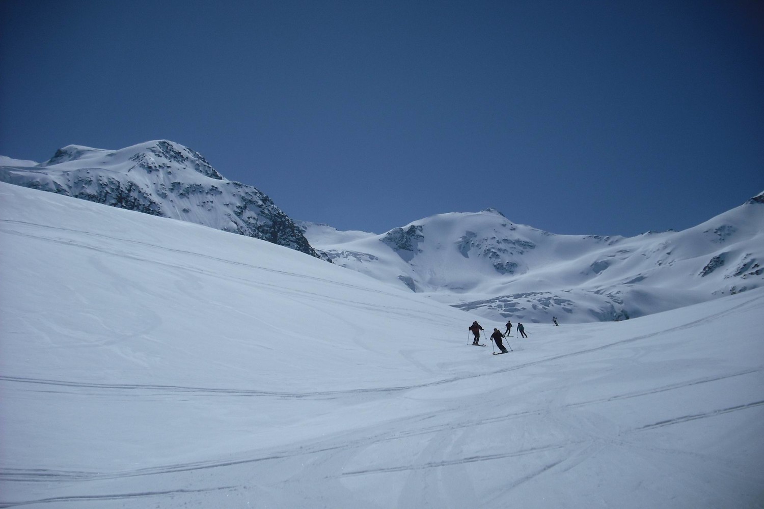 splendido firn