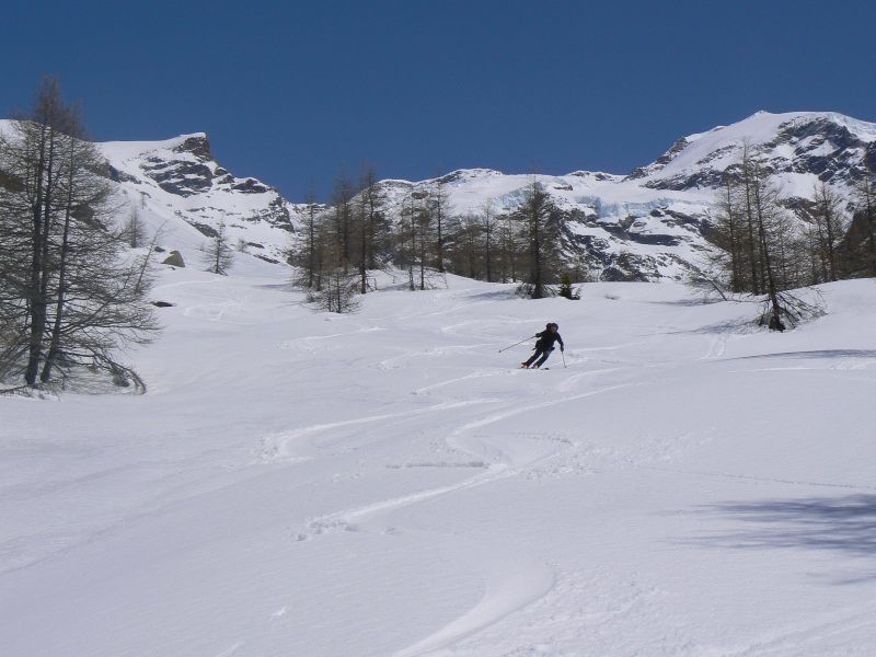 Ultime curve tra i larici sopra Gressoney-Staffal