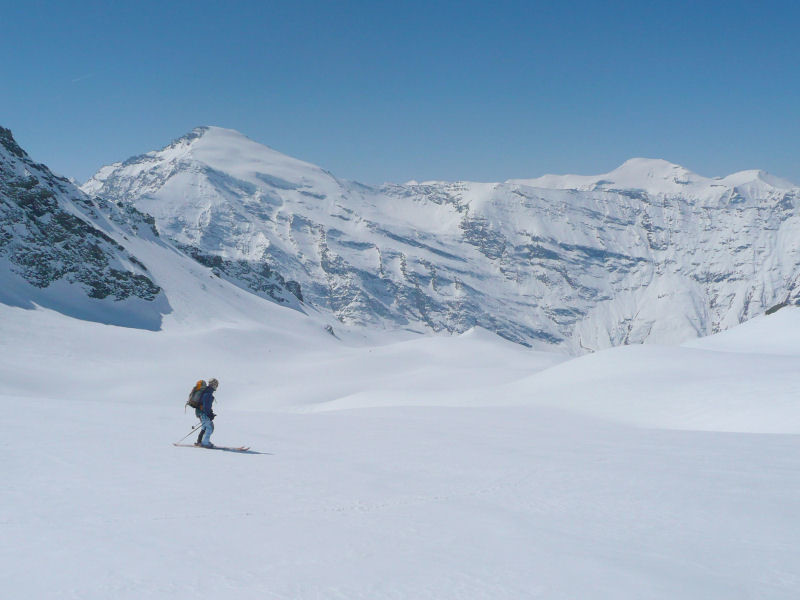 Quelques km2 de moquette sur le glacier du Grand Fond