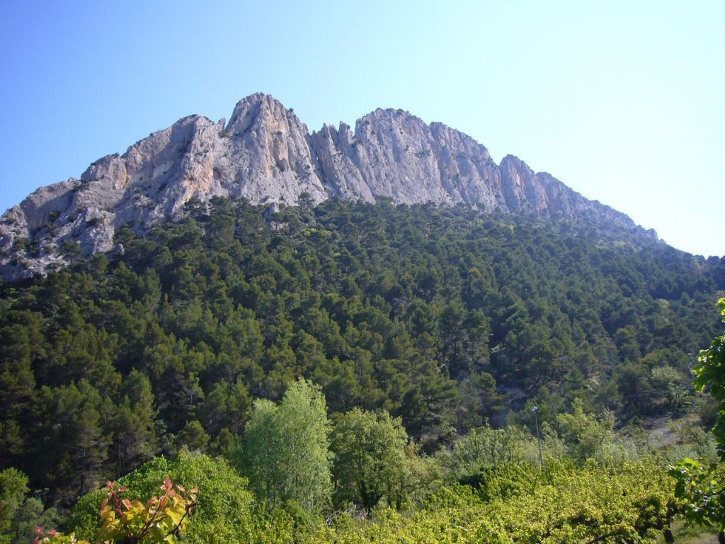 buis les baronnies rocher st julien