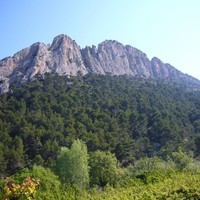 buis les baronnies rocher st julien