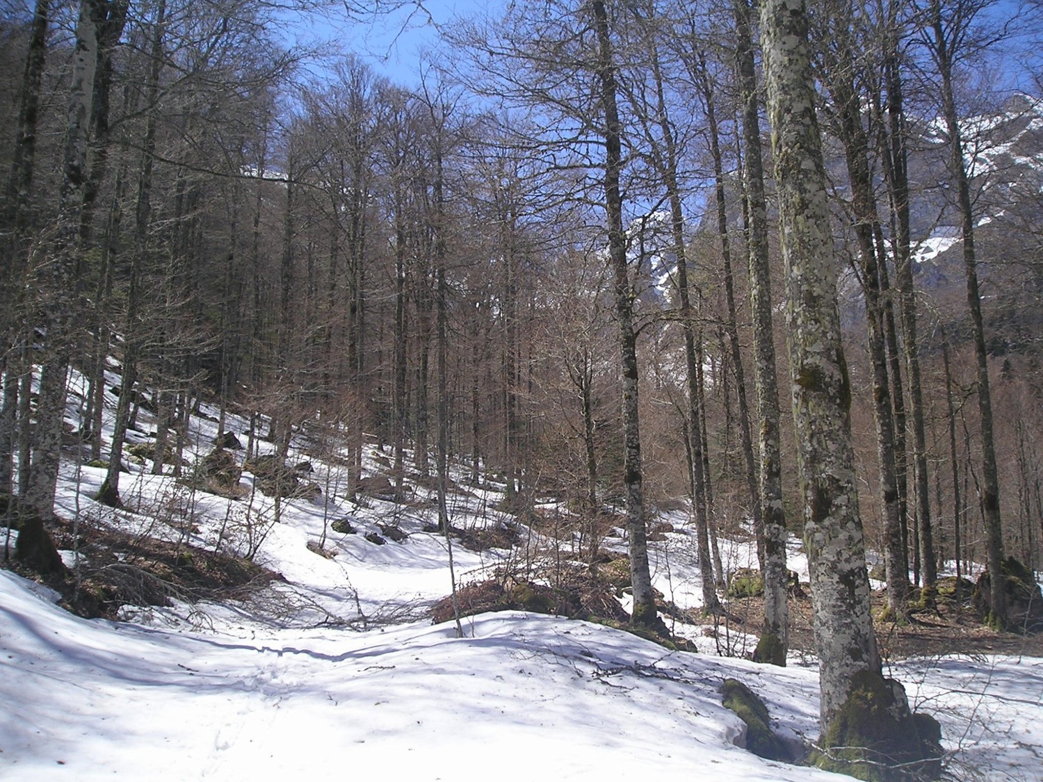 1350m, encore de la neige!!!