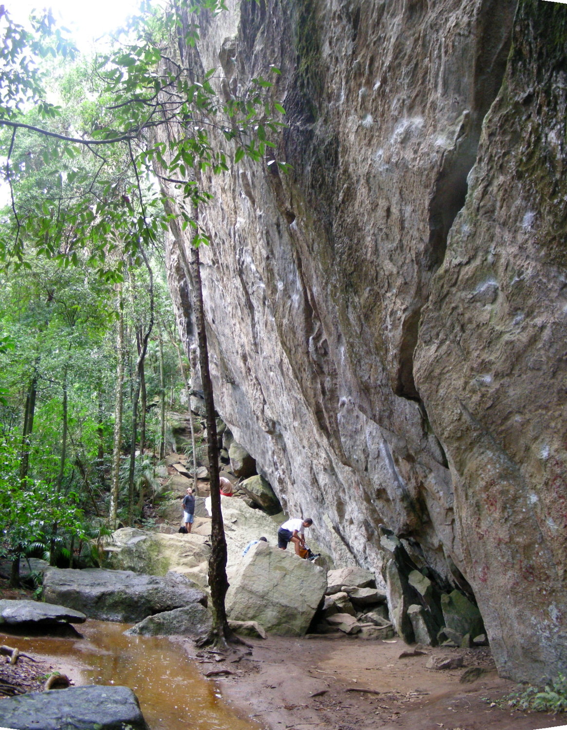 La pared de Campo Escola 2000 en la Floresta de Tijuca (Rio de Janeiro)