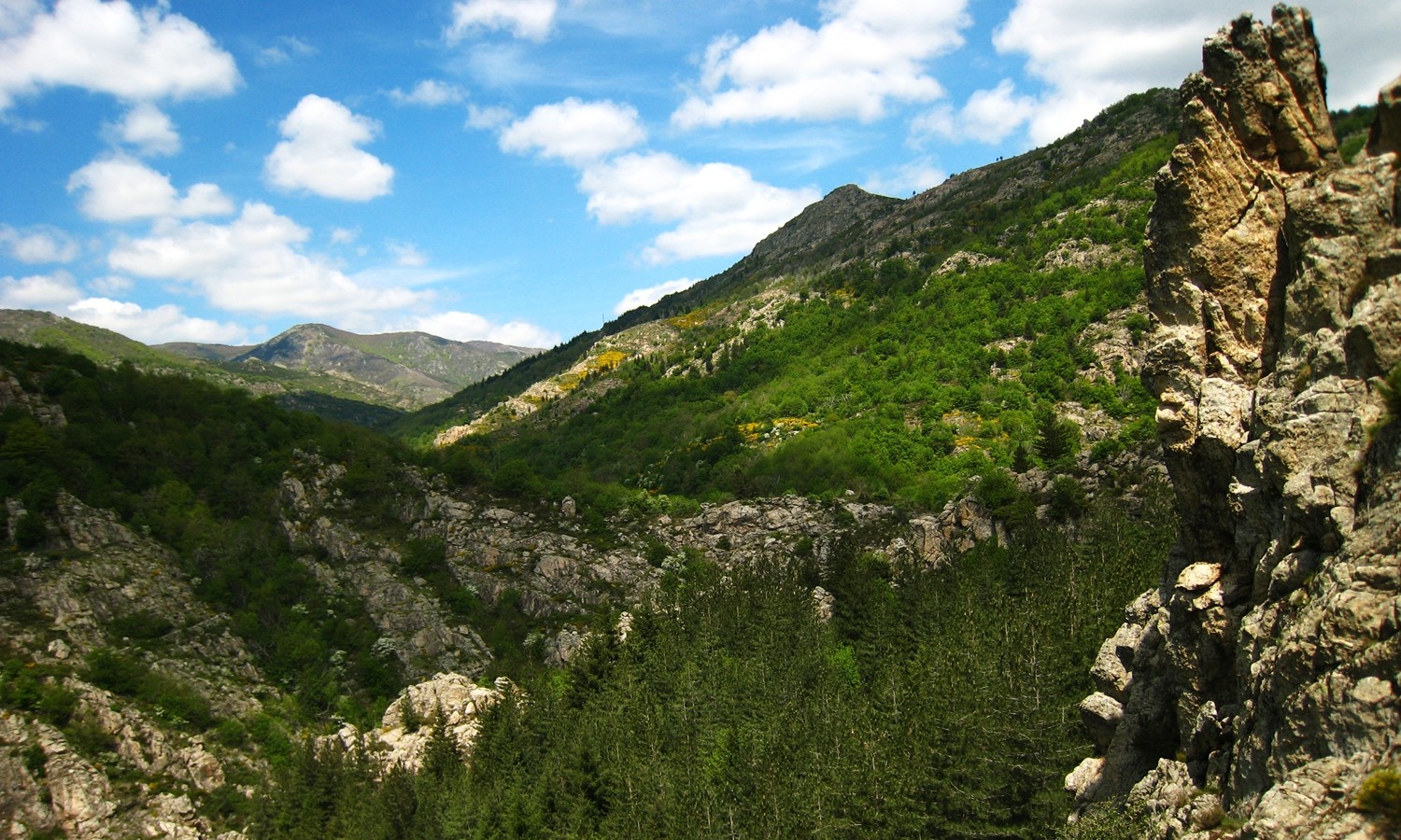 Nature ardéchoise