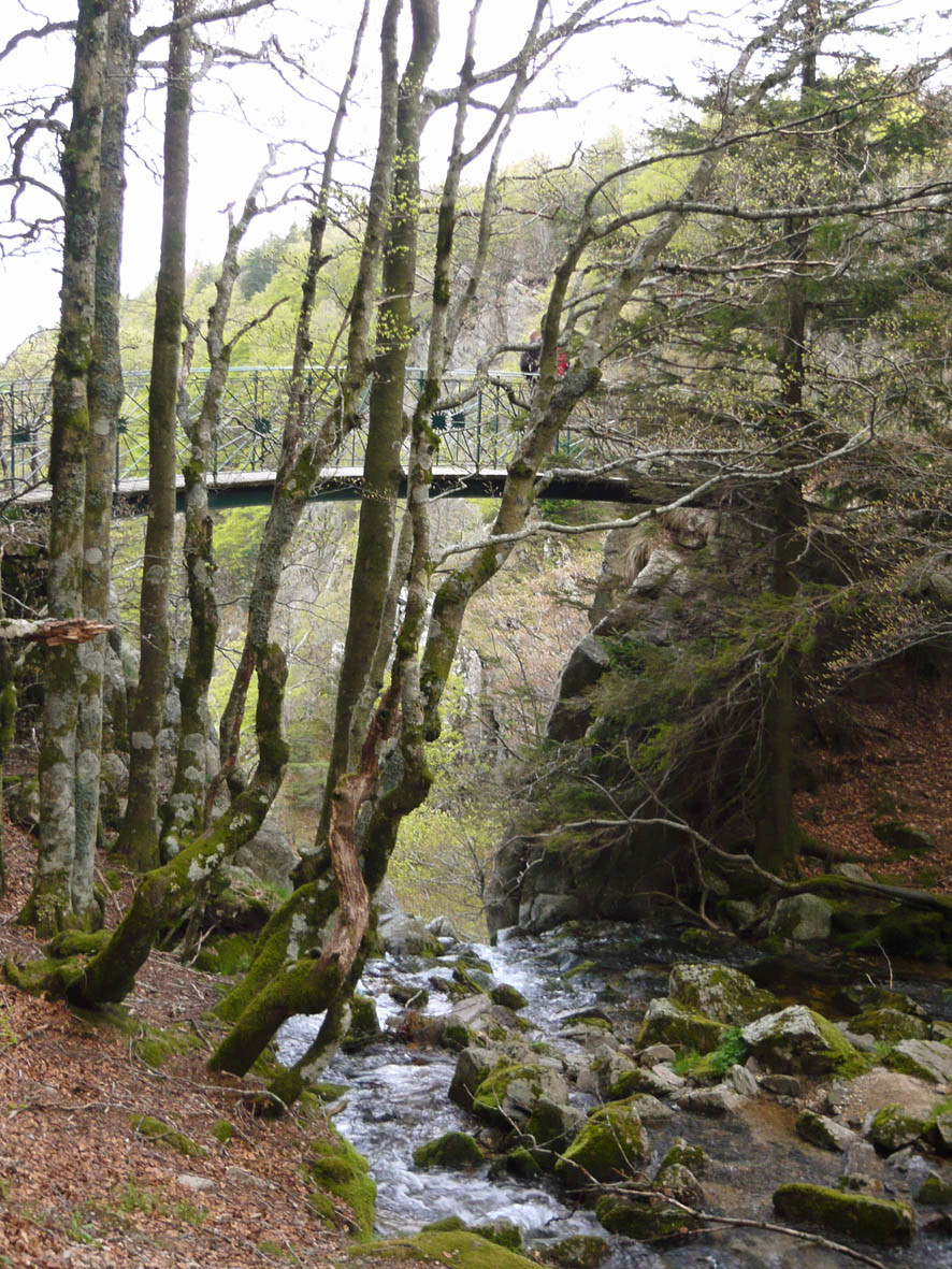 Arrivée aux cascades d'orgon
