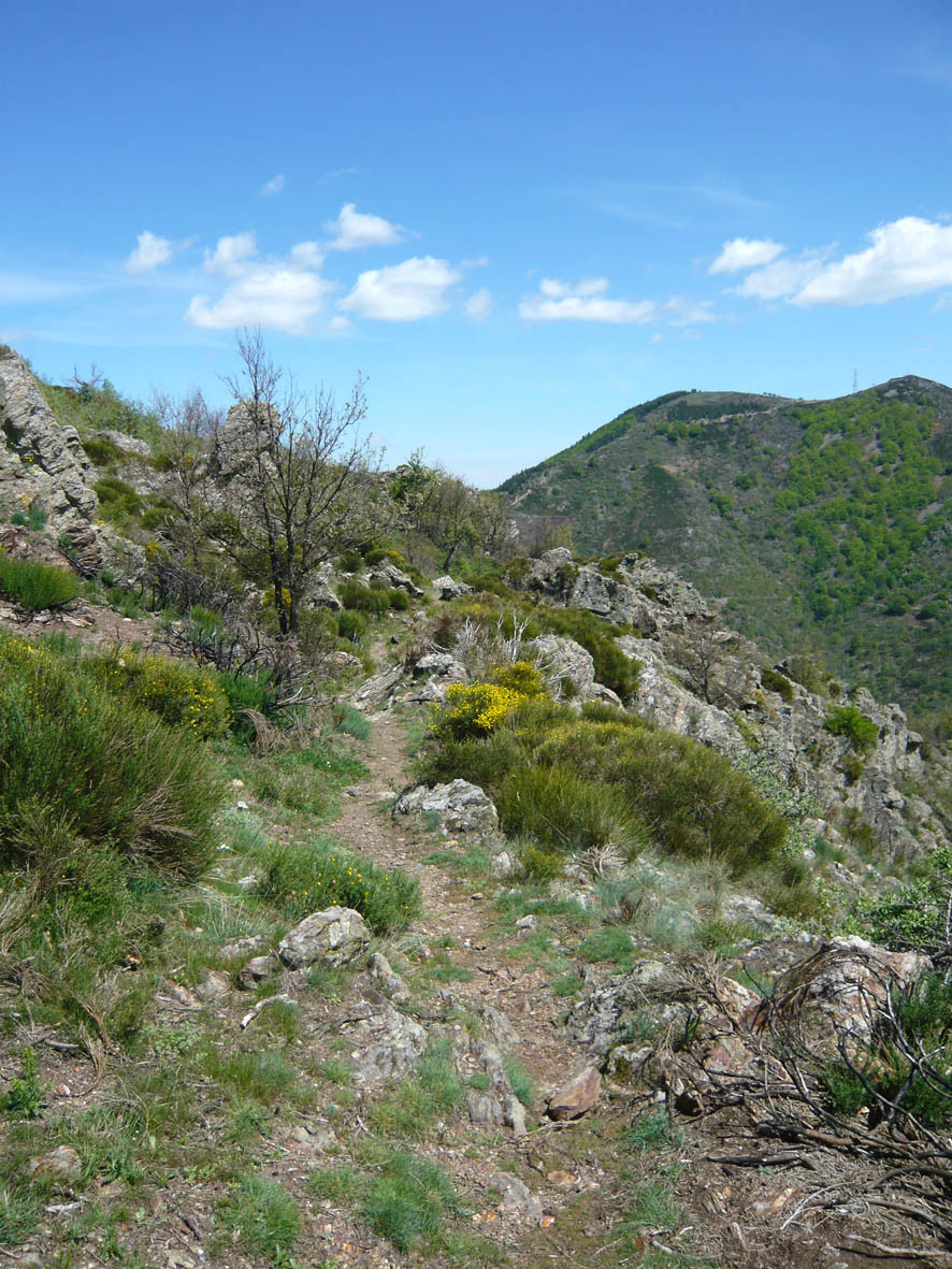 Cheminn vers Col de l'Asclier