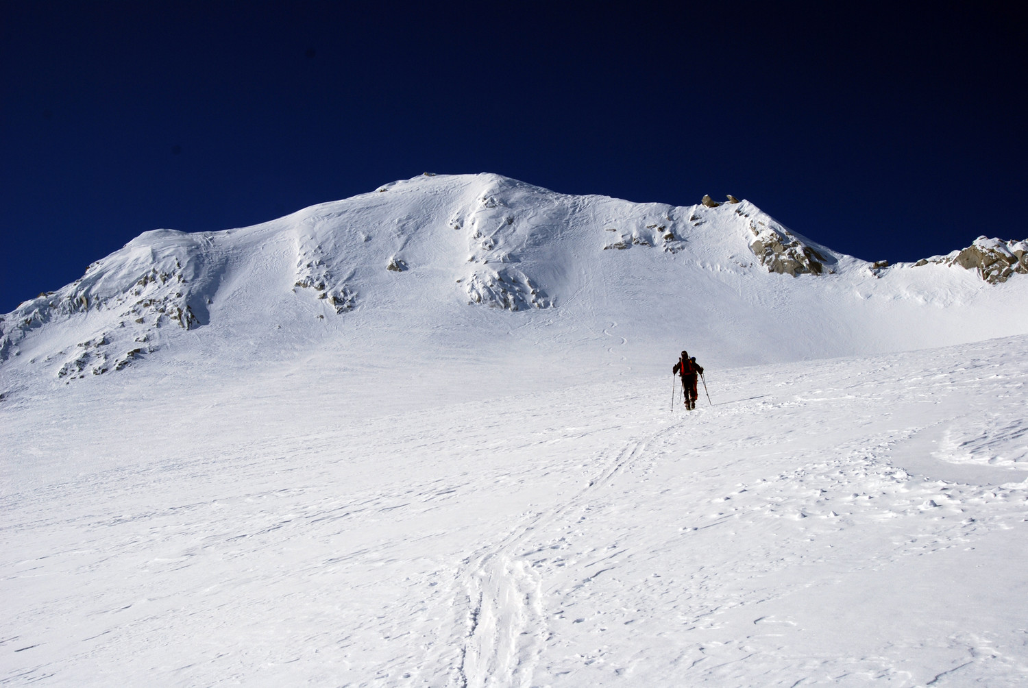 La pala del Monte Carè Alto 3462 m.