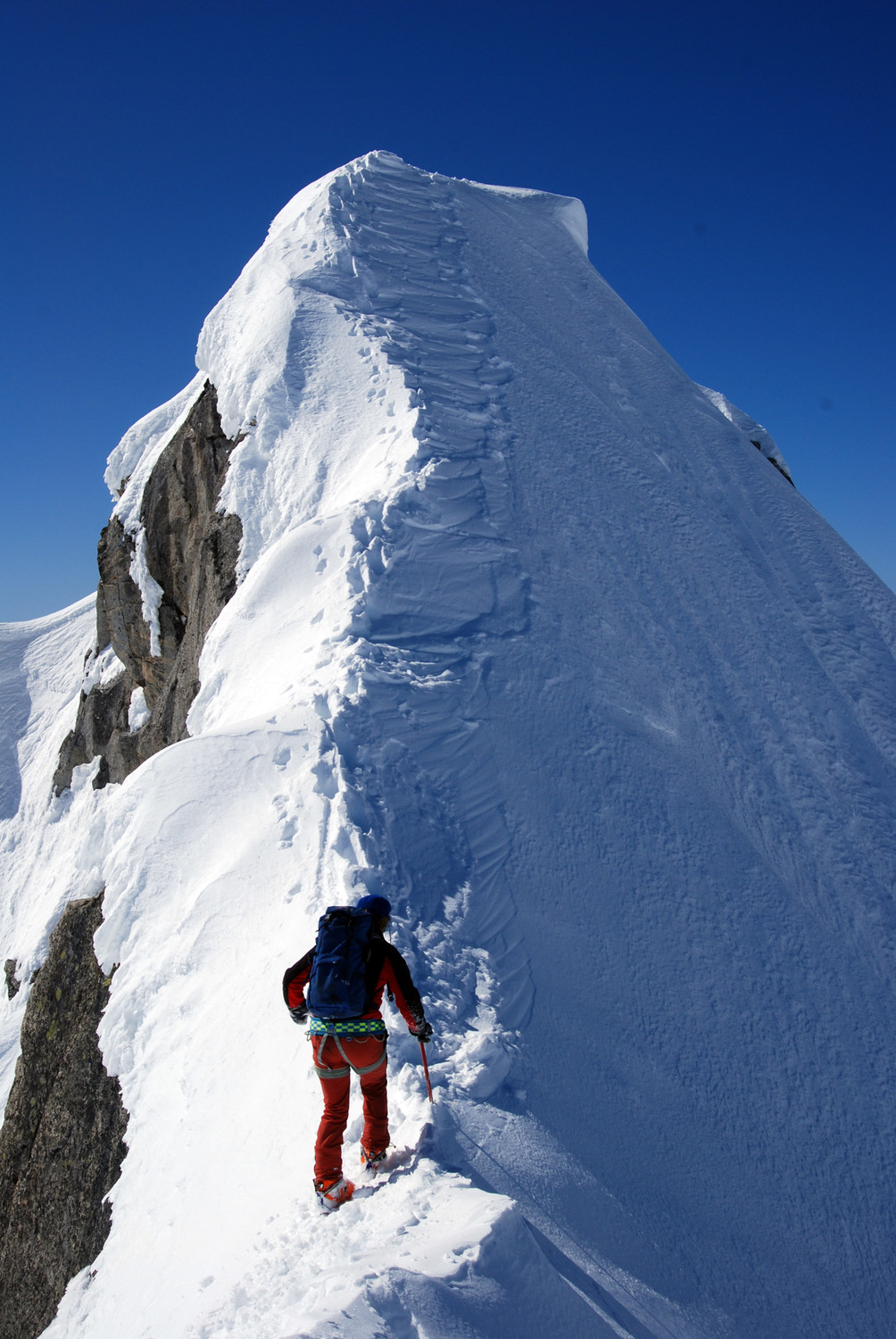 L'utimo tratto per raggiungere la cima del M. Carè Alto 3462 m.