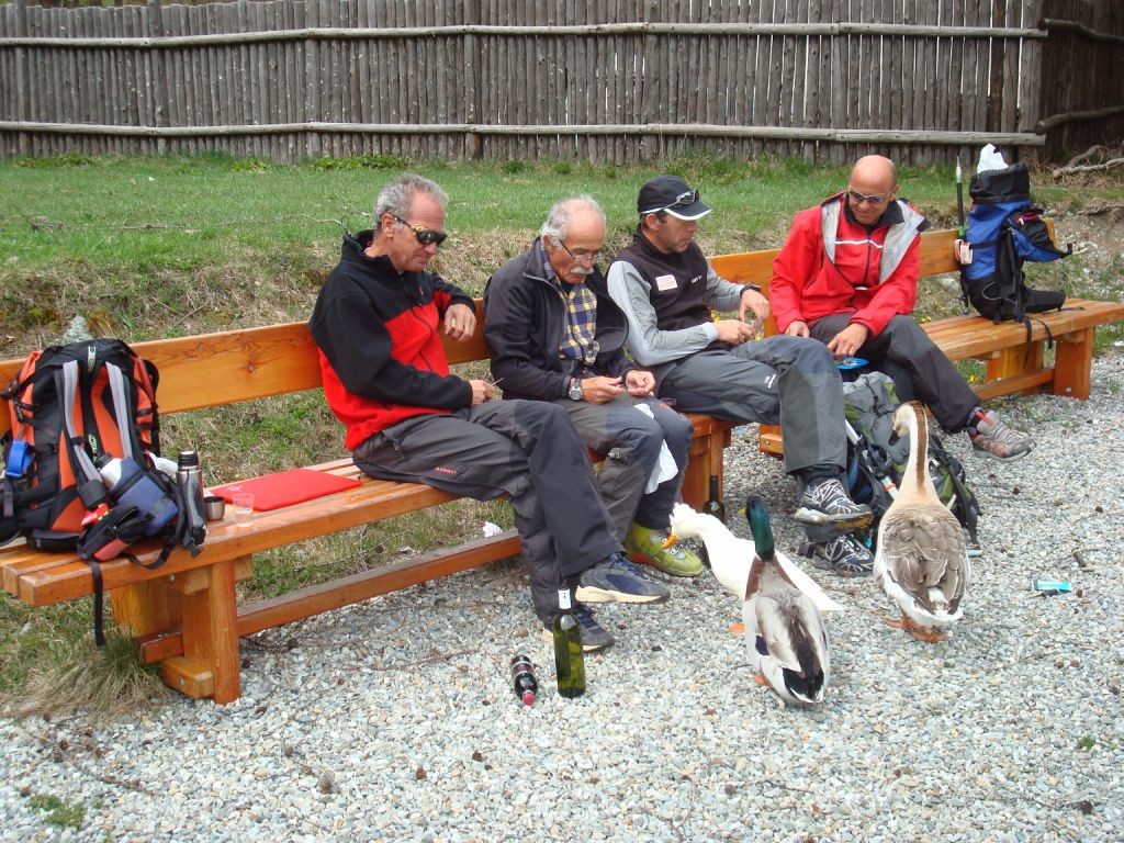 Pic-nic en bonne compagnie