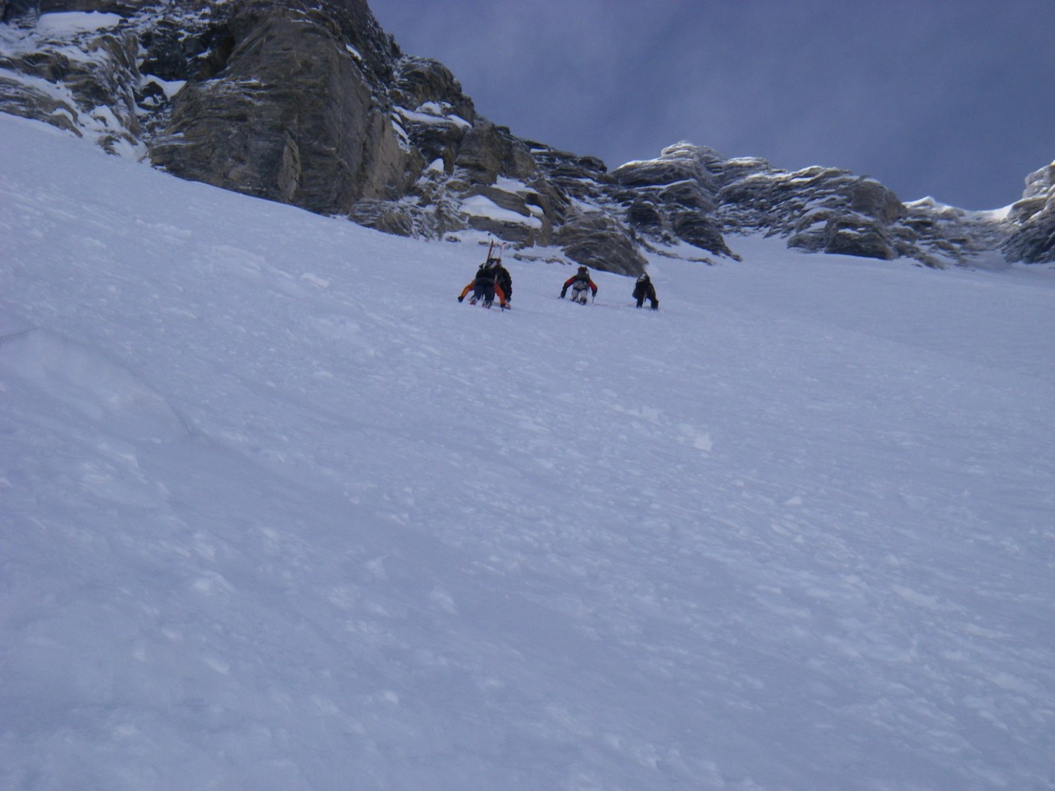 Les tracatosores