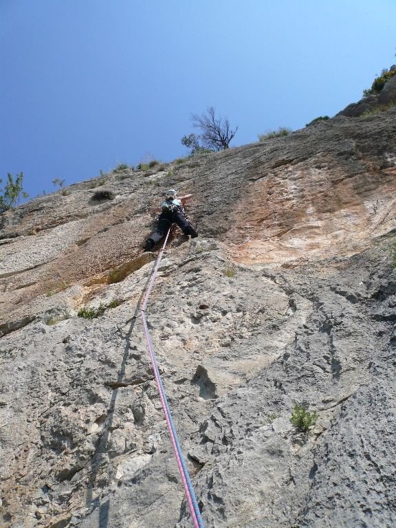 buis les baronnies la xafred L2