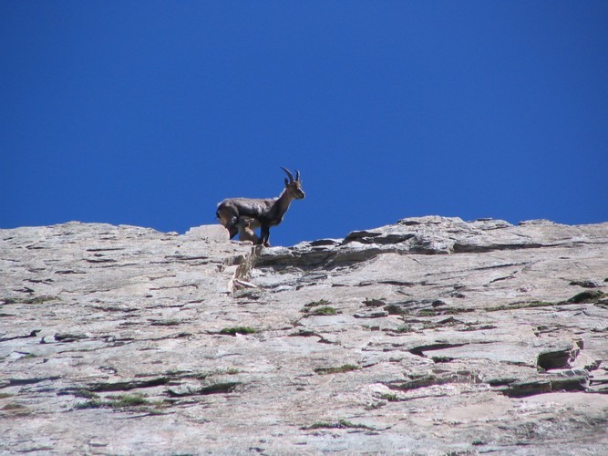 Attention chute de pierres !