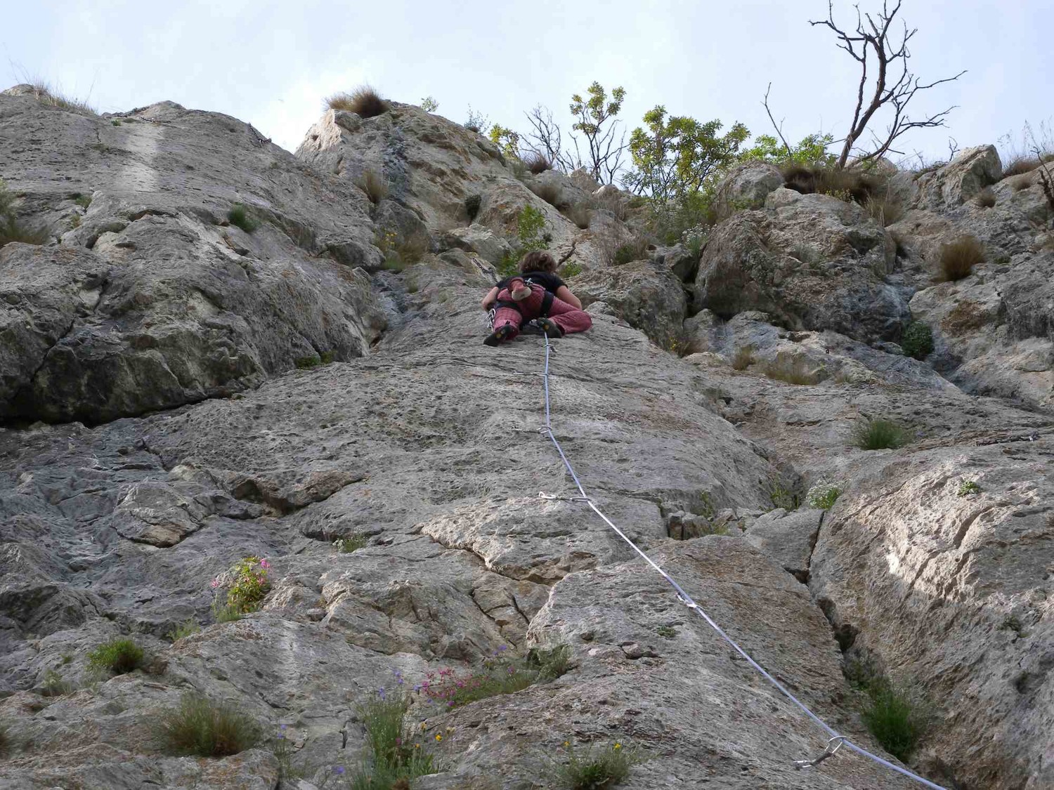 Franci7a in azione