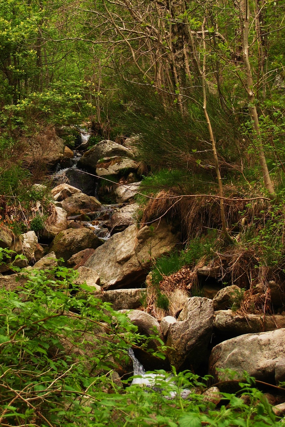 Le Rieugrand, ruisseau ardéchois sur son sous-sol granitique