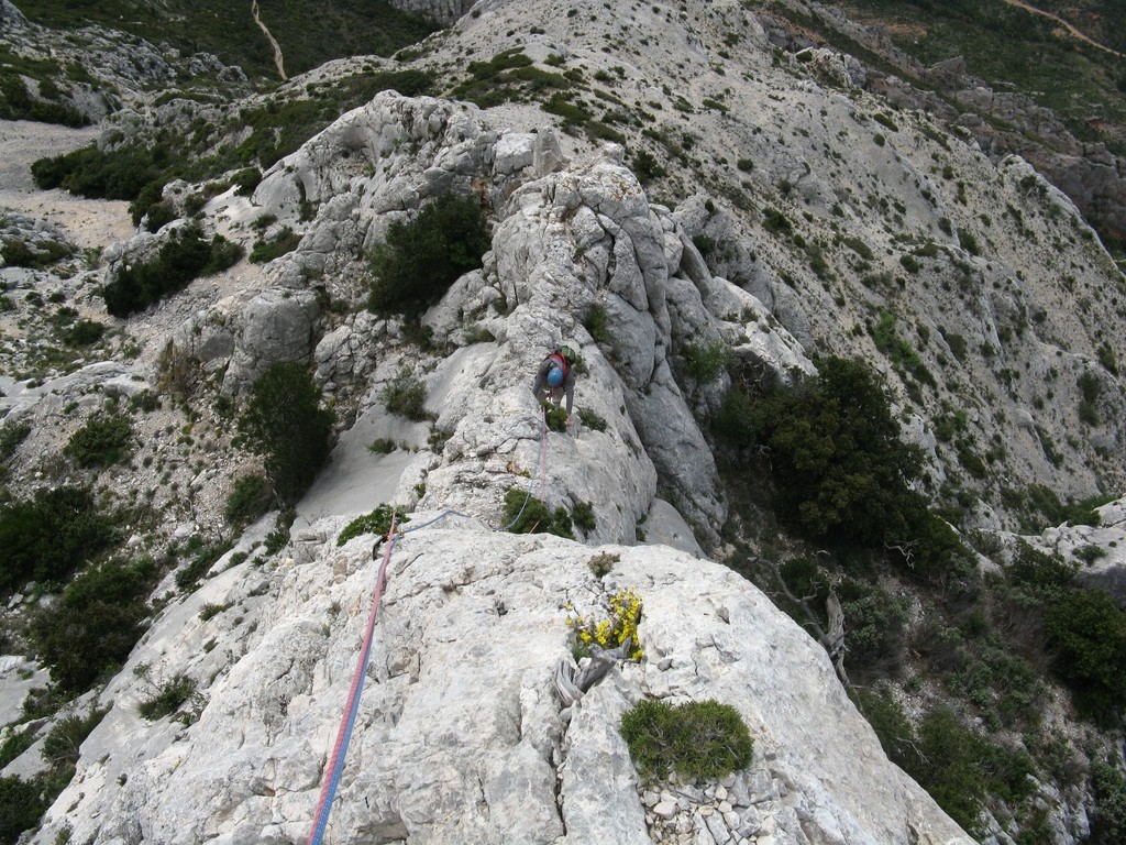 Dans l'arete du jardin