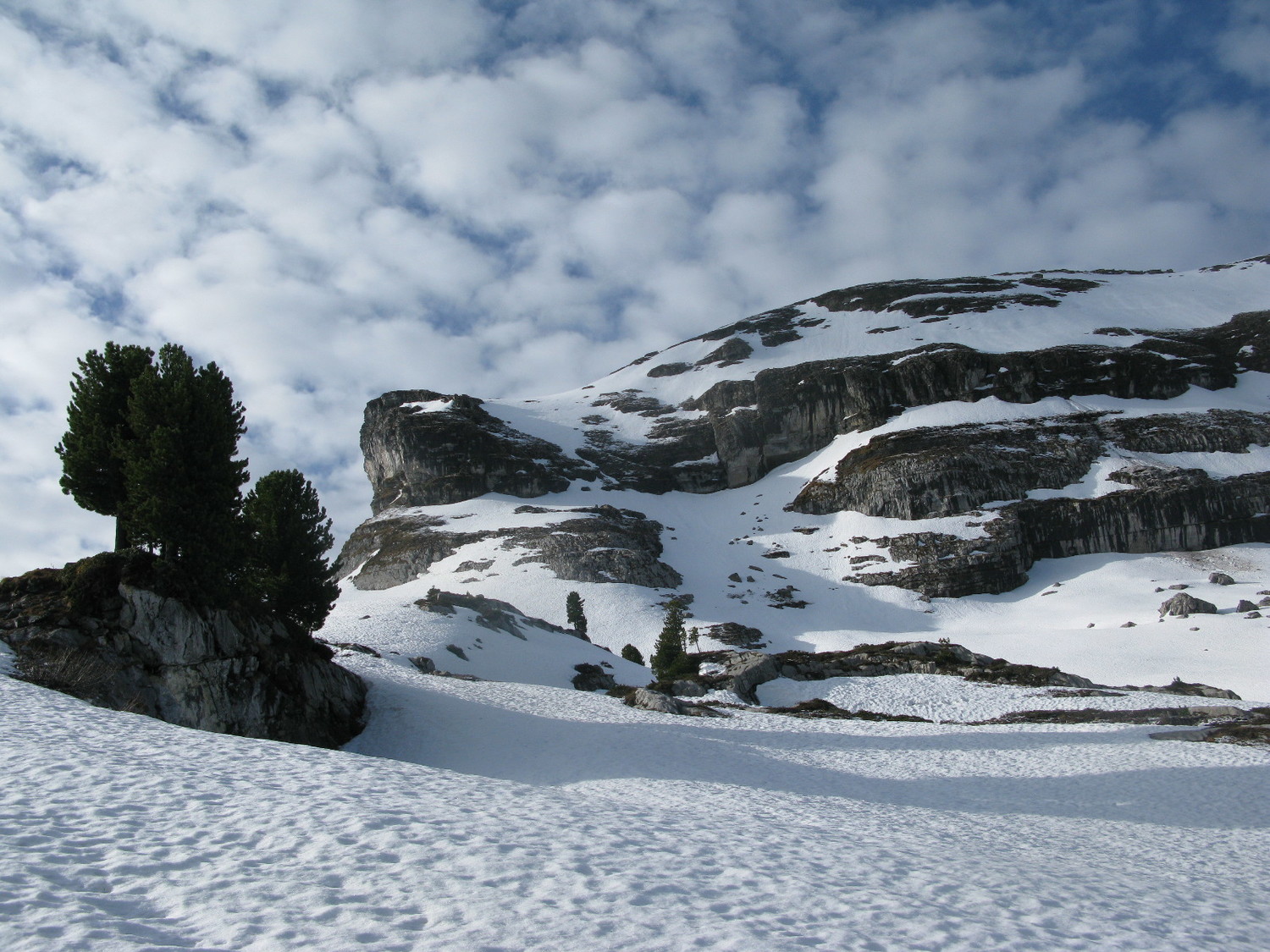 Coton sur l'Aup ...
