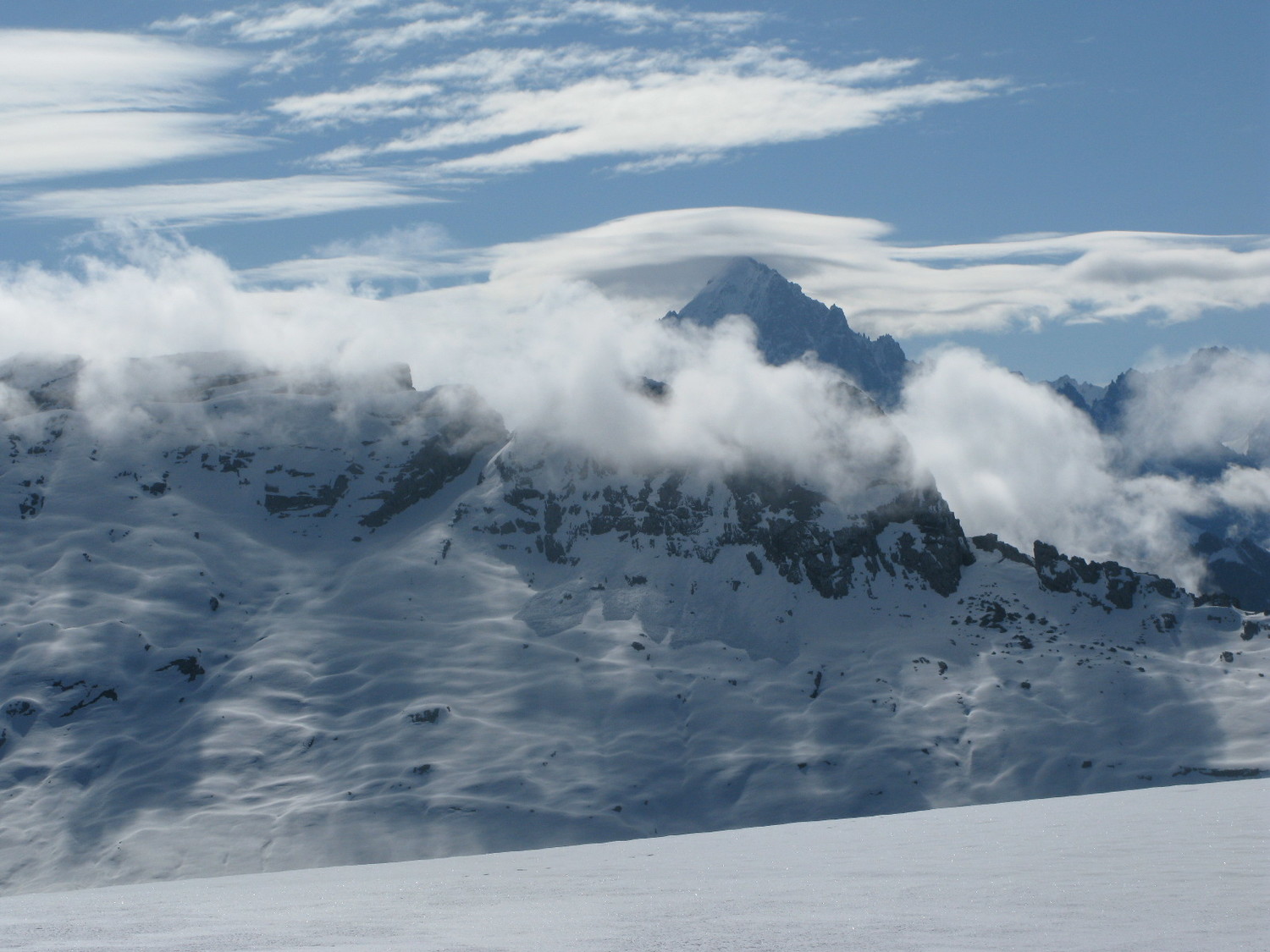 Moutons sur l'Aiguille Verte